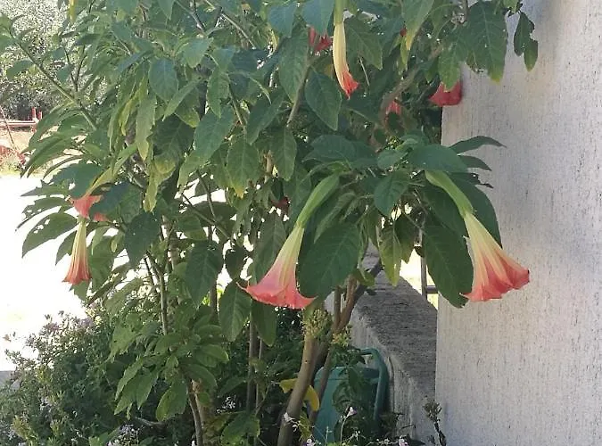 Apartmán Amelie Zadar