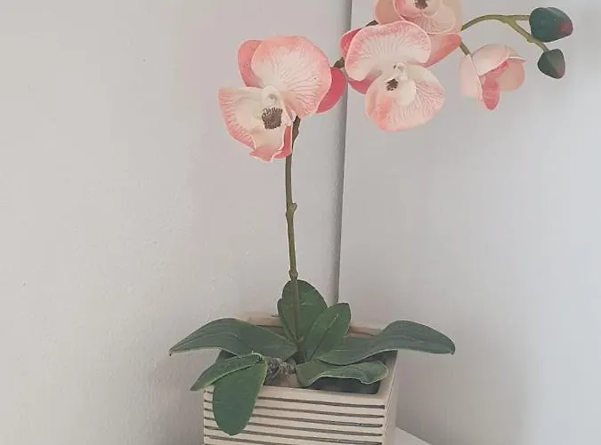 Apartmán Amelie Zadar